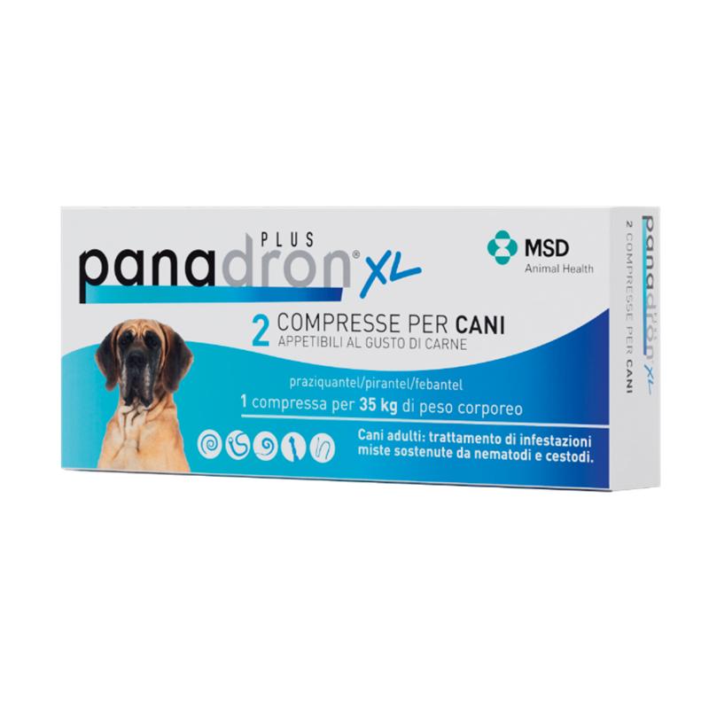 SOP Panadron Plus XL 2 compresse