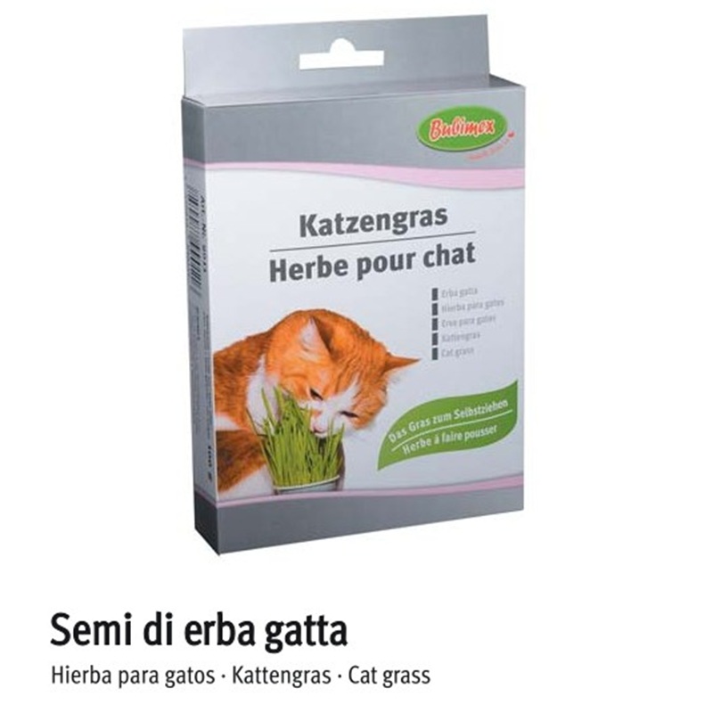 Semi di Erba Gatta Gr 100